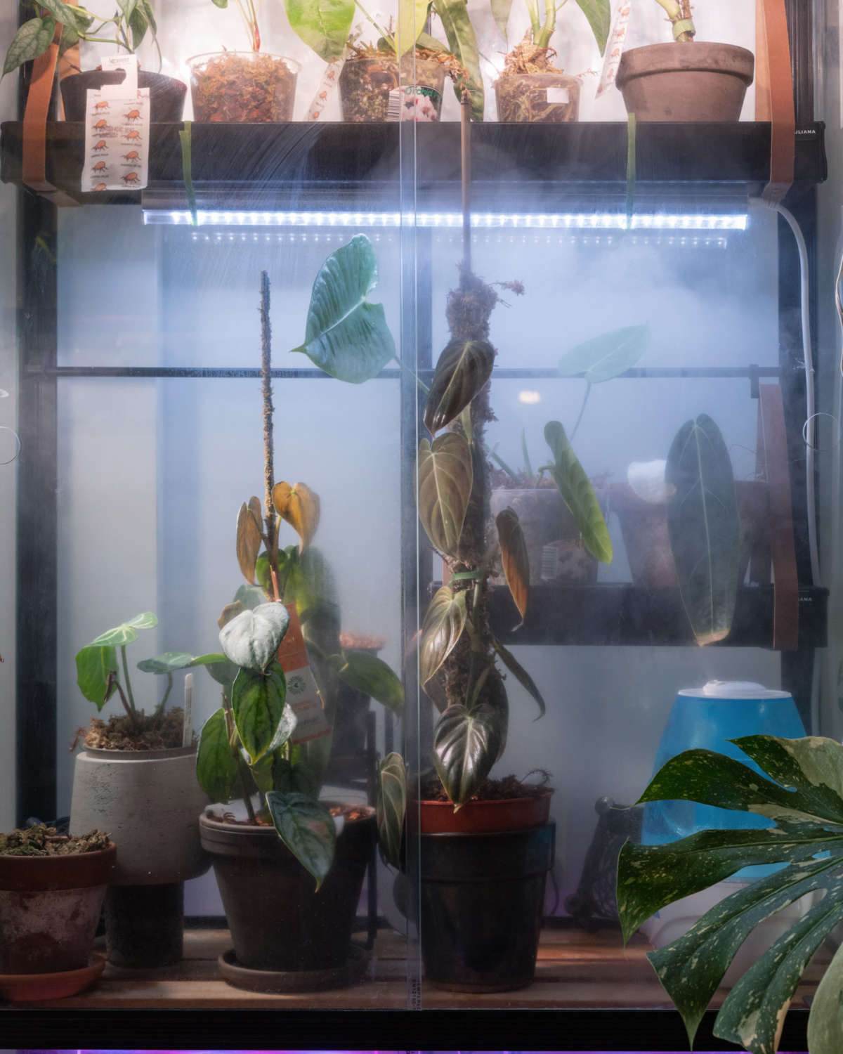 Best Grow Lights for Indoor Plants White Colour Grow Light Bar v2