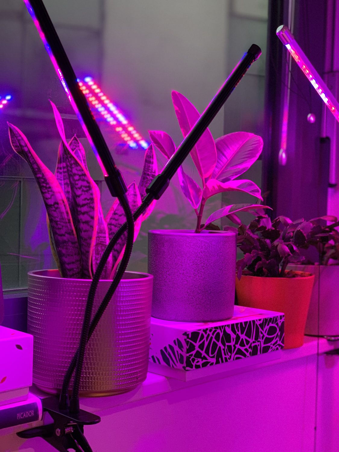grow lights for indoor plants download