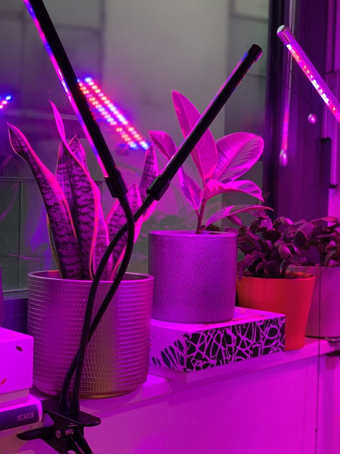 download free grow lights for indoor plants